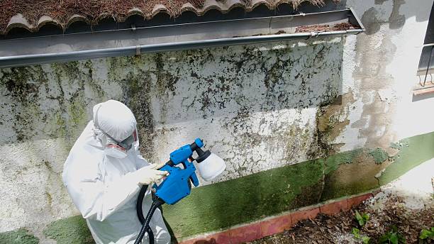 Top rated local Mold Cleanup specialists in West Chester, PA
